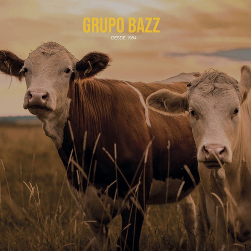 Tiza Barra Pintura Paintstick Cerdos Vacas Color A Eleccion