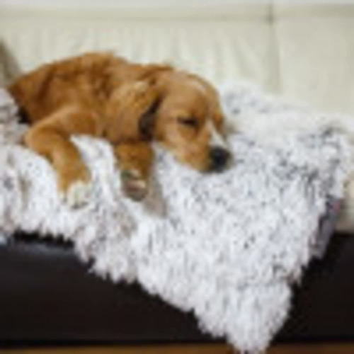 Best Friends By Sheri Calming Shag Fur Frost Pet Throw Blank