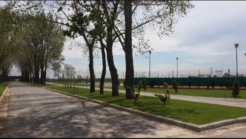 Imagen 7 de 14 de Terreno - La Alameda