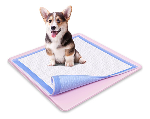 Bandeja Skywin Para Perros Y Cachorros, Silicona, 24 X 24, A