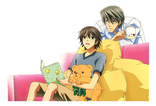 4 Poster Junjou Romantica   De 21cm X 29cm