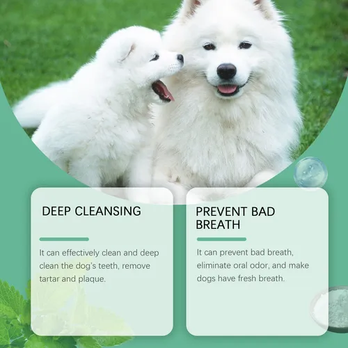 El Polvo Limpiador T Dog Ayuda A Los Perros A Tener Una Buen