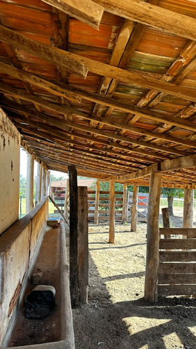 Sitio A Venda Em Monte Santo De Minas
