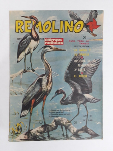 Remolino 249. Revista Ultimas Noticias  1979 . Nato. Mañungo