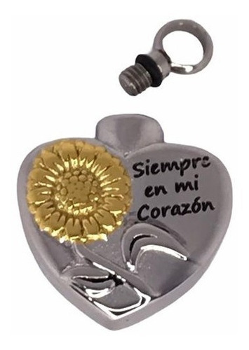 Dije Para Cenizas Cremación Urna Funeraria Relicario 50 Color Plateado