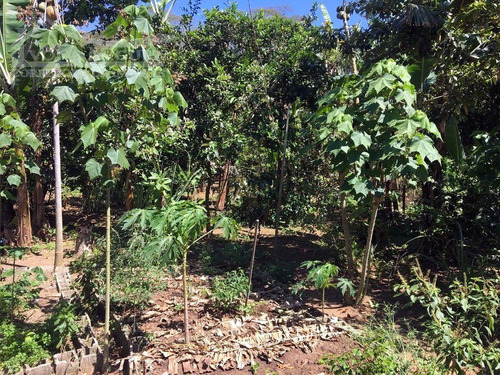 Imagem 14 de 15 de Casa Em Arcozelo - Paty Do Alferes - 2452