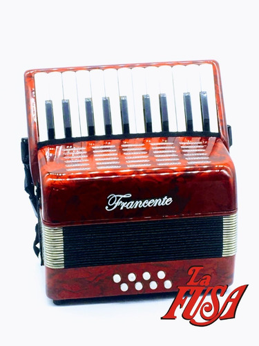 Acordeon A Piano Francente M2000g Para Niño C/funda