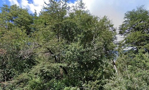 Hermosa Parcela En Venta, Palena, Región De Los Lagos