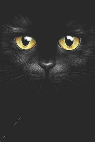 Libro: Cuaderno Gatos - Gato Negro: Cuaderno De Ejercicios 