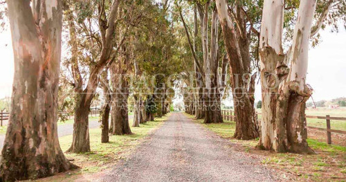 Barrio El Campo - Fincas Exclusivas Cardales, Campana, G.b.a. Zona Norte