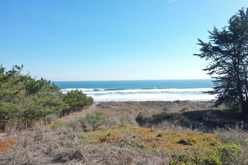 Desarrollo Inmobiliario Frente Al Mar En Punta De Lobos