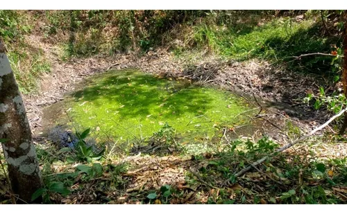 Venta De Lotes Vía La Mesa Por Via Payacal