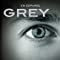 Cincuenta Sombras De Grey Contada Por Christian En Español