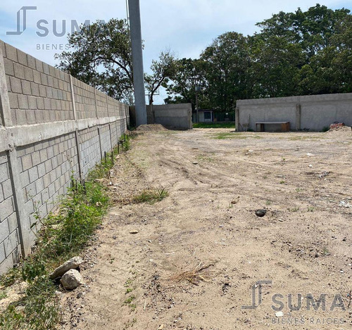 Terreno En Renta Ubicado En Colonia Españita, Altamira Tamaulipas.