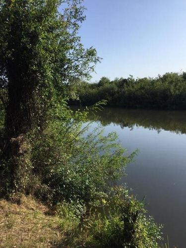 Campo De 252 Has En Durazno. Costas Sobre Arroyo. Apto Para Ganadería, Arroz Y Forestación!