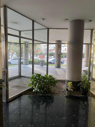 Apto./alto/vista D'excepcion/estilo/200mtrs./imperdible/lujo