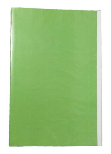 Carpeta Con Acoclip Verde Claro