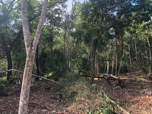 Lote En Venta En La Ruta De Los Cenotes. Qta. Roo.