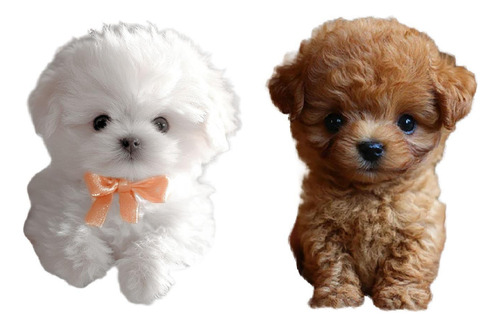 Juguete Electrónico De Peluche Para Perro Que Camina Y