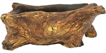 Comprar Bonsai Maceta Suculenta Cemento Driftwood Jardineria Ollas T