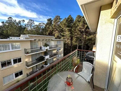 Departamento Amoblado En Algarrobo  (25074)