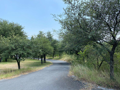 Terreno En Venta Los Azulejos Zona Carretera Nacional Monterrey