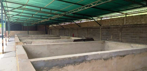 Imagen 4 de 26 de Galpon En Venta