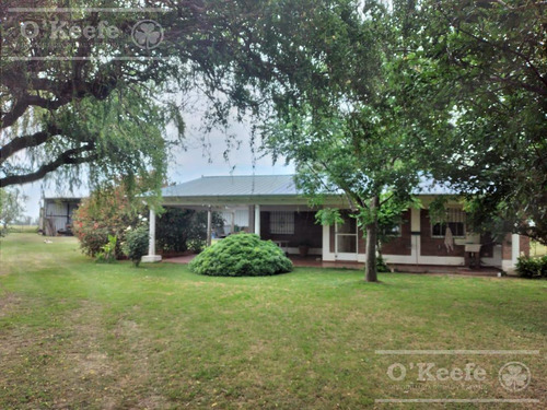 Imagen 12 de 22 de Campo Mixto En Venta En Chivilcoy 60 % Agrícola - Armado