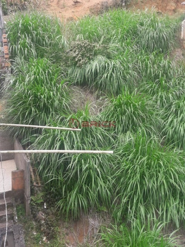 Imagem 5 de 9 de Ótimo Terreno Com 420 M² No Bairro Dos Artistas. - Te00330 - 35002162