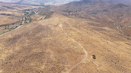 Venta Terreno De 11 Ha En Higueritas Unidas, Ovalle