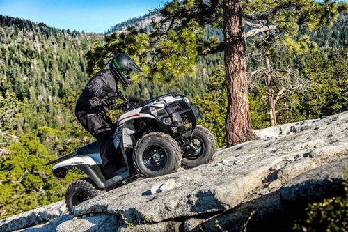 Imagen 7 de 25 de Kawasaki Brute Force 300 2022