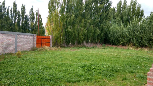 Venta Casa 3 Ambientes Parquizada En Los Antiguos