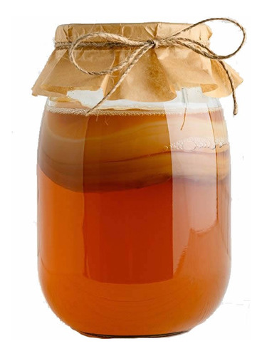 Kombucha Curso Kit Iniciador Bebida Probiótica Scoby Fácil