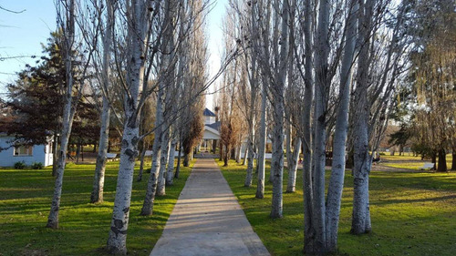 Imagen 9 de 19 de Terreno 1200 M2 Isla Del Este. La Mejor Ubicación