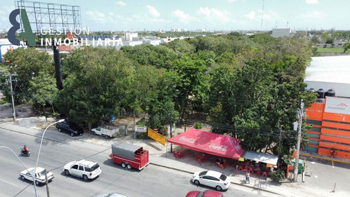 Imagen 4 de 6 de Terreno En Venta En Avenida Jose Lopez Portillo Cancún, Quin