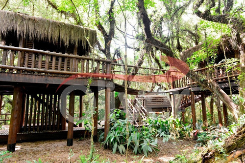 Imagem 6 de 23 de Reserva Ecoville - Agende Sua Visita 41-9620-7211 - Ap-0090 - 3295237