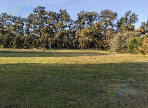 Imagen 1 de 9 de Terreno - Casuarinas Del Pilar