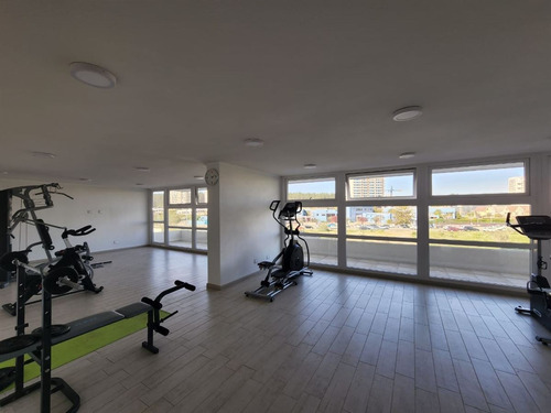 Vendo Depto 2h2b1e1b En Concón Piso 4 Gran Oportunidad 91mt