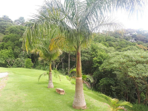 Imagem 28 de 29 de Chácara Com 4 Dormitórios À Venda, 8500 M² Por R$ 600.000,00 - Tupã - Arujá/sp - Ch0084
