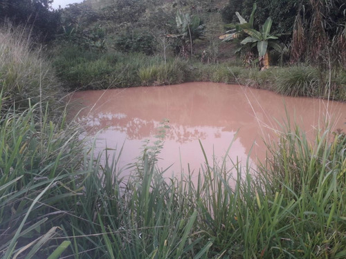 Imagem 10 de 14 de Sítio / Chácara Para Venda Em Flexeiras, Zona Rural - In - 0014_1-1691481