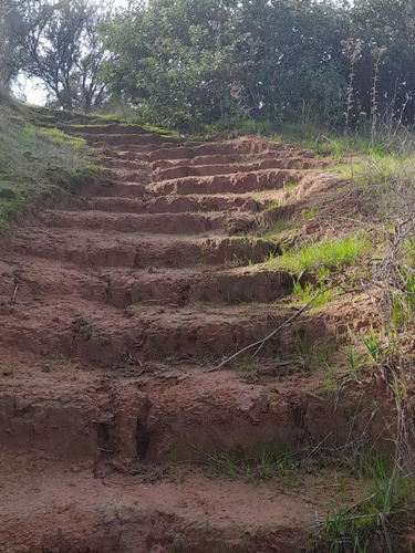Cajon De Lebu - Se Vende Linda Parcela De 5000 M2