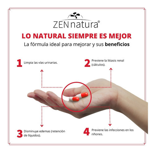 Rinichi Palo Azul, Cola Caballo, Y Cabellos Elote Zen Natura Sabor Sin Sabor