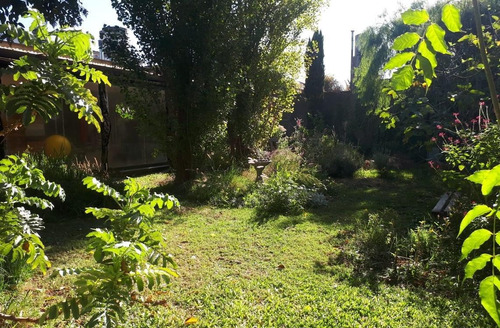 Imagen 8 de 21 de Casa - Hurlingham