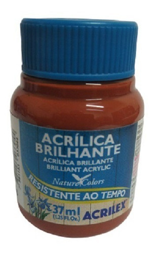 Tinta Acrílica Brilhante Ceramica - 506 - Acrilex - 37ml