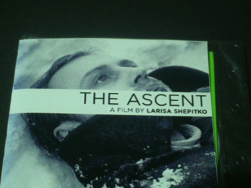 La Ascensión (Usado)