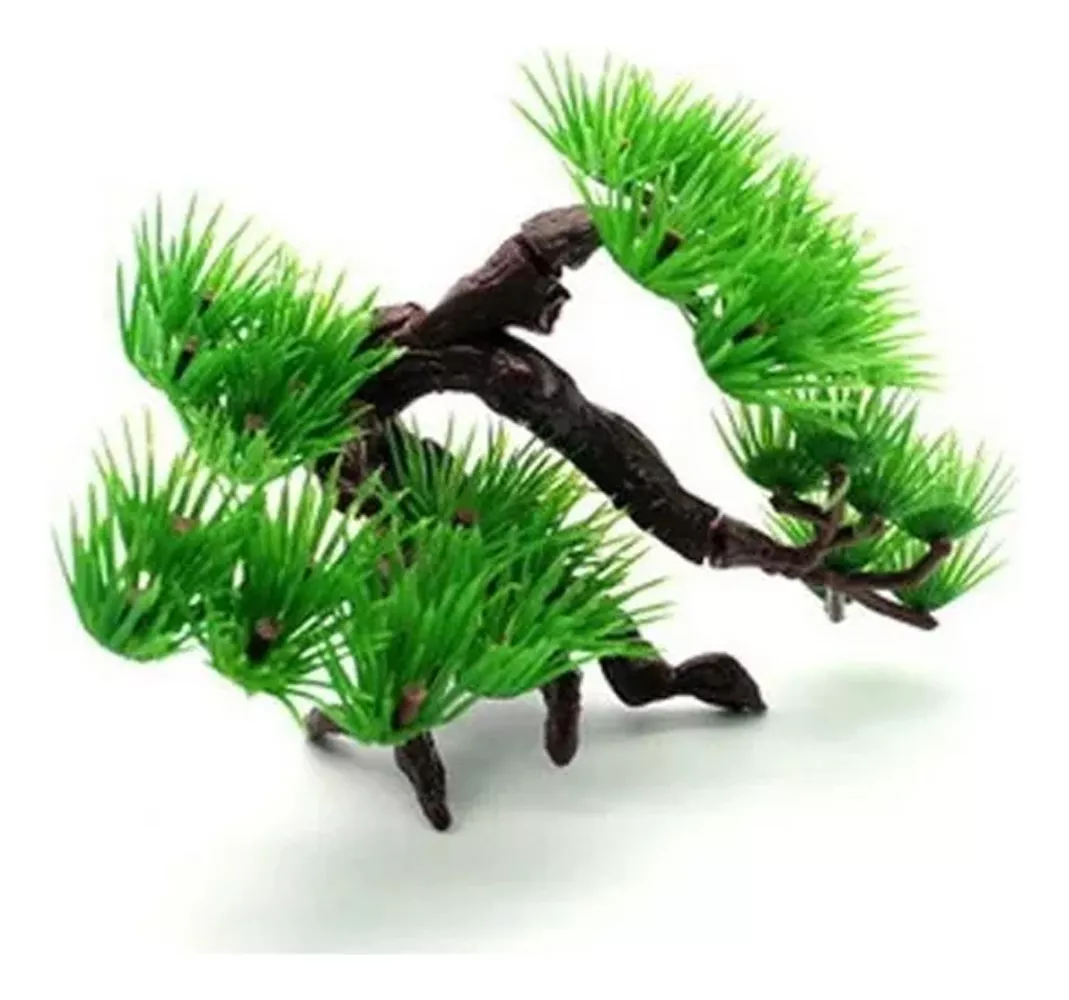 Segunda imagem para pesquisa de bonsai para aquario