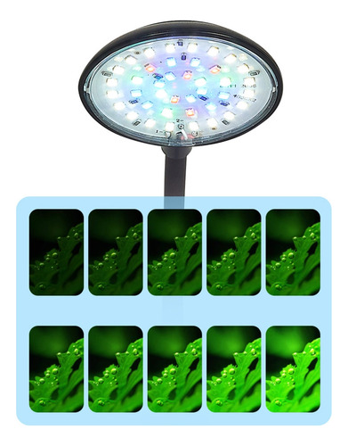 Luz Led (w-b) Led De 7/5 W Para Peceras De Tamaño Pequeño Co