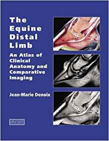 La Extremidad Distal Equina Y Un Atlas De Anatomia Clinica E