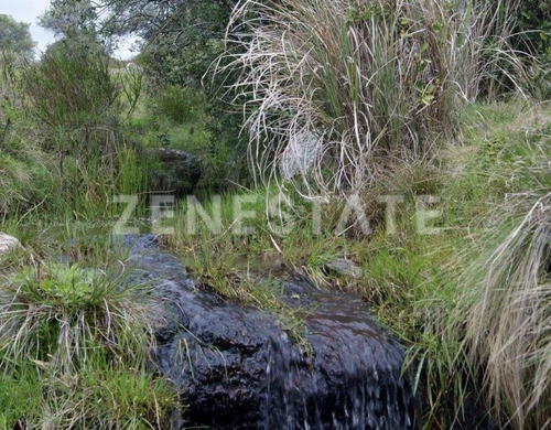 Venta De Chacra En Minas, Lavalleja.