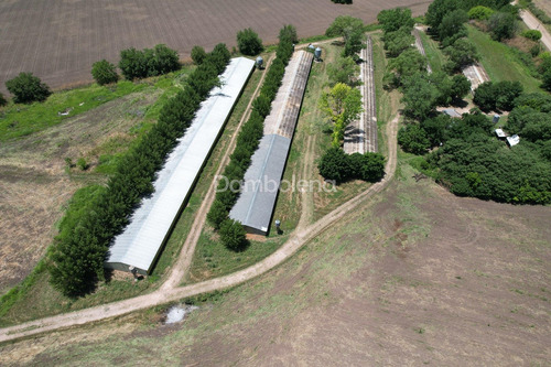 Terreno Campo En Venta - General Rodriguez - G.b.a. Zona Oeste
